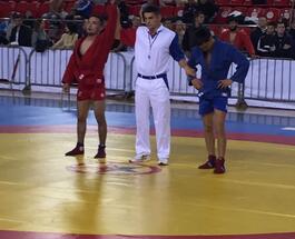 VS_sambo_Perm (1).jpeg