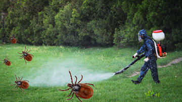 Внимание! Акарицидная обработка участка от клещей