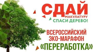 «Сдай макулатуру – спаси дерево!»