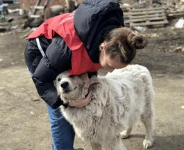 image-21-04-25-09-00-1 (2).jpg