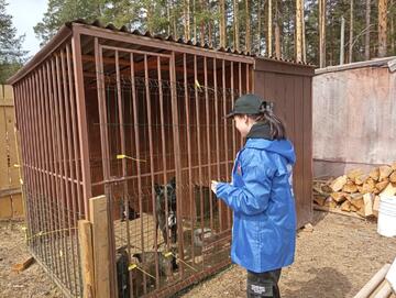 Обучающиеся УОР №1 посетили Центр помощи бездомным животным - приют «Мишутка»