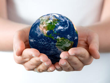 «Сдай макулатуру – спаси дерево».