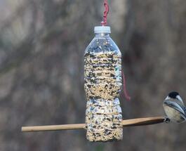 Изображение WhatsApp 2023-12-04 в 11.20.02_3e39cd99.jpg