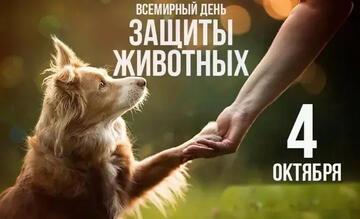 Всемирный день защиты животных