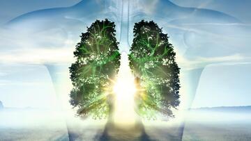 «Дыши легко»