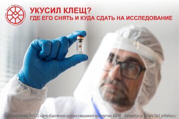 Укусил клещ? Где его снять? Куда сдать на исследование?