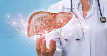 Неделя профилактики заболеваний печени (в честь Международного дня борьбы с гепатитом 28 июля)