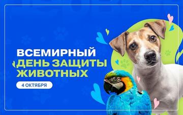 Международный день защиты животных в УОР: учимся ответственности и заботе