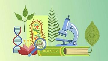 Открытое занятие по биологии  по теме «Размножение»